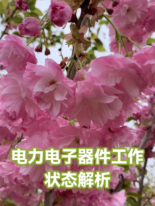 电力电子器件工作状态解析 从开关特性到销售选型指南